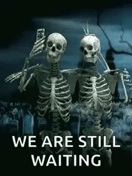 Skeleton Waiting Taking Selfie GIF