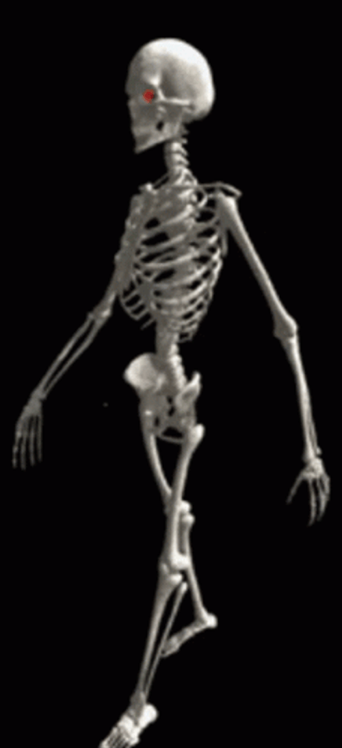 Skeleton Walking With Rey Eyes GIF