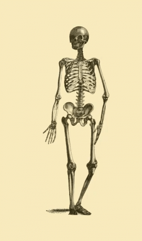 Skeleton Waving Art GIF