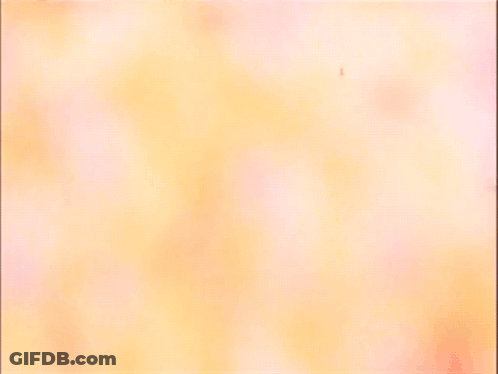 Skeleton Wearing Sunglasses And Red Cape GIF