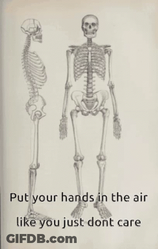 Skeleton With Hands In The Air Like You Just Don't Care GIF