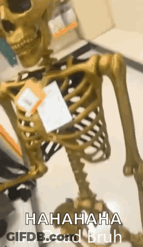 Skeleton With Name Tag Laughing GIF