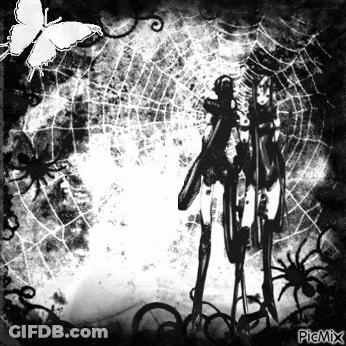 Skeleton With Spiders And Butterfly Picmix GIF