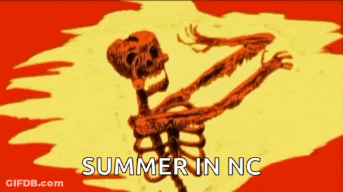 Skeleton With Summer In NC GIF