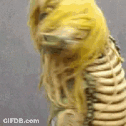 Skeleton With Yellow Wig GIF