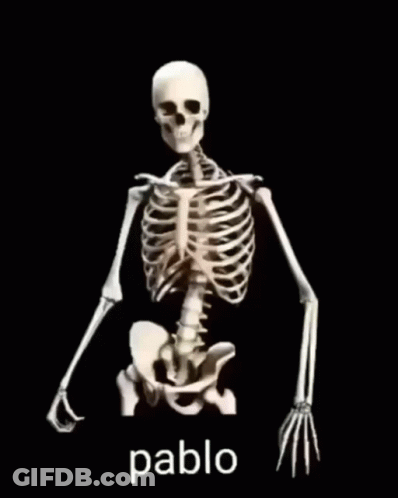 Skeletons Riding Horses GIF