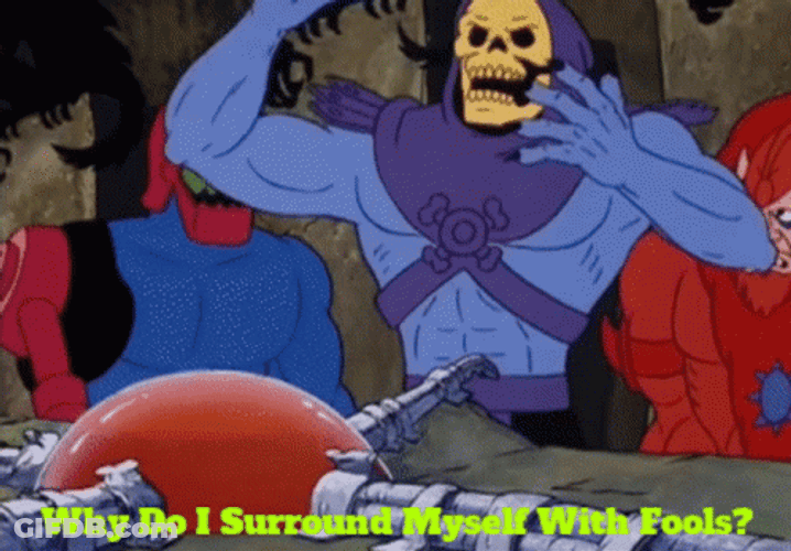 Skeletor Why I Surround Myself With Fools GIF