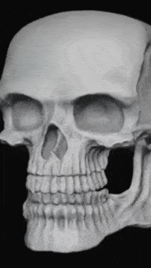 Skelly Head Smirk GIF