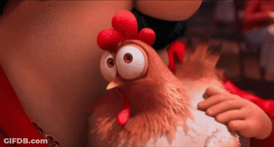 Skeptical Rooster Getting Pets Suspicious GIF