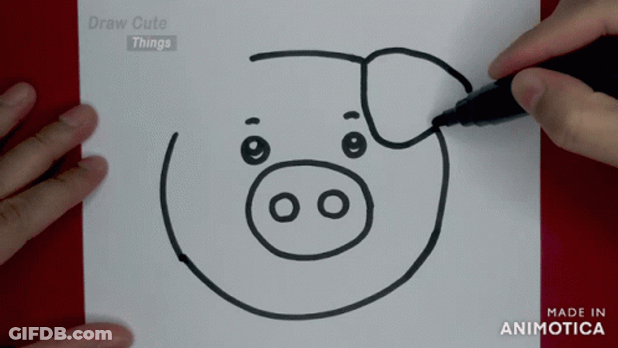 Sketch Of A Pig Face GIF
