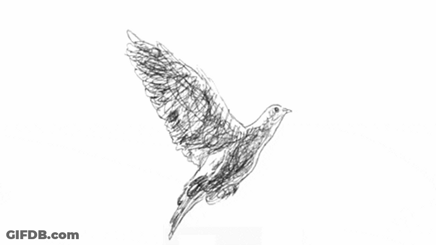 Sketch Of Dove Flapping Its Wings GIF