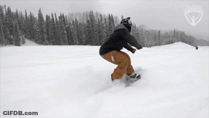 Ski GIF