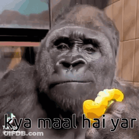 Ski Goggles Man Saying I Was Right Bowl Of Food GIF