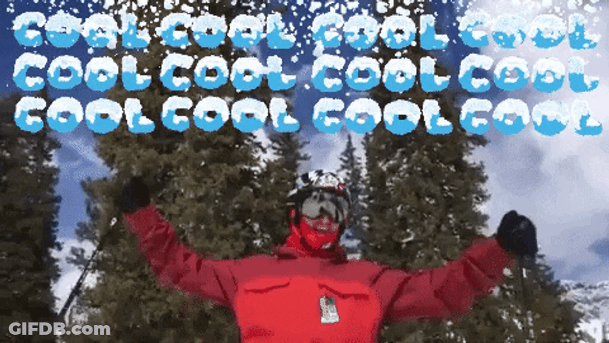 Ski Is So Cool To Do GIF