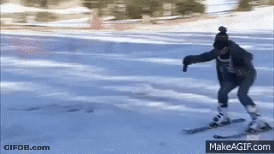 Skiing Epic Fail Bump GIF