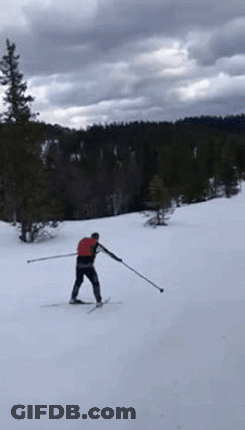 Skiing Fail Snow Slide GIF