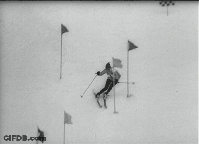 Skiing Winter Olympics GIF