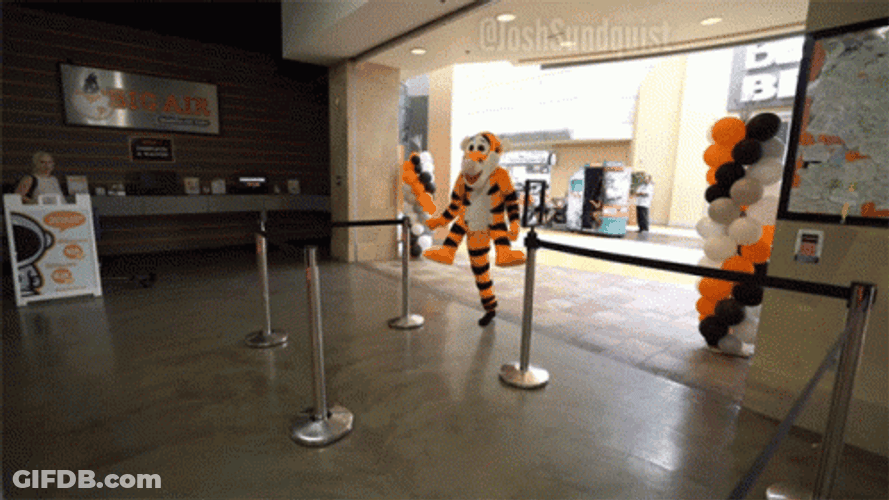 Skipping GIF