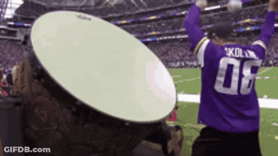 Skol Vikings Defeated All GIF