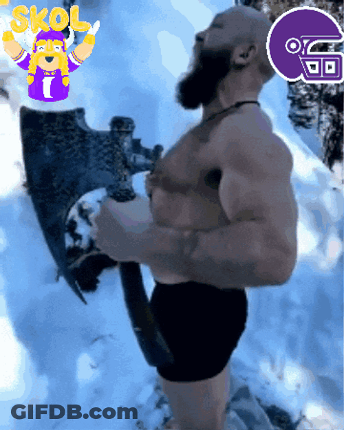 Skol Vikings Got It All GIF