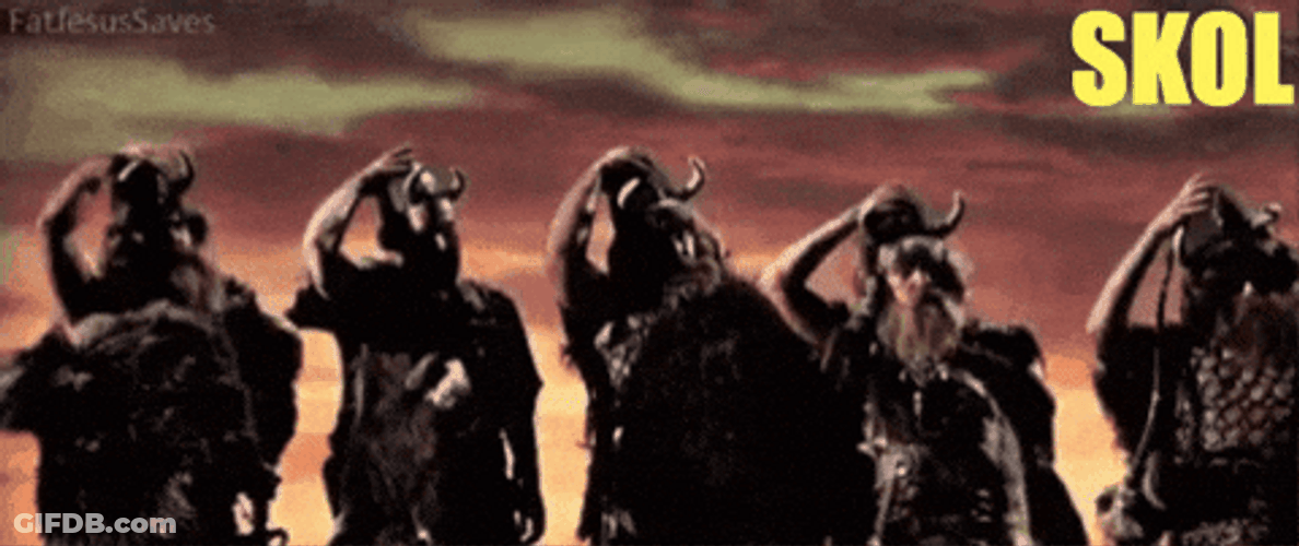 Skol Vikings Made Us Proud GIF