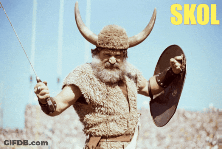 Skol Vikings Will Won This Time GIF