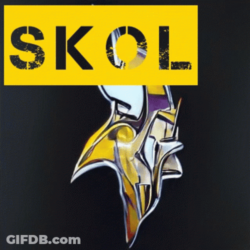 Skol Vikings Won It All GIF