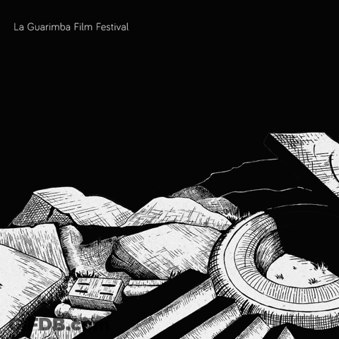 Skull And Crossbones La Guarimba Festival GIF