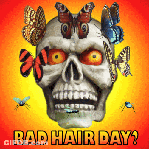 Skull Crazy Bad Hair Day GIF