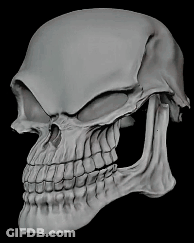 Skull Drawing With White Eye GIF