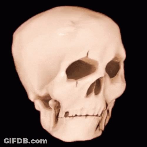 Skull Meme Jiggly Skeleton GIF