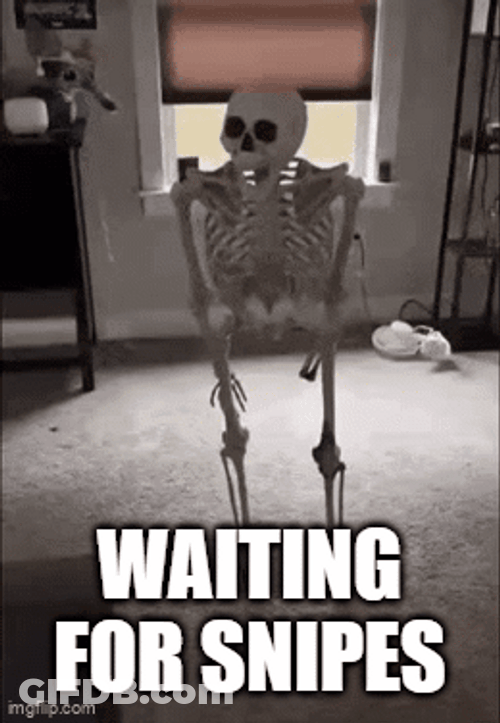 Skull Waiting For Snipes Meme GIF