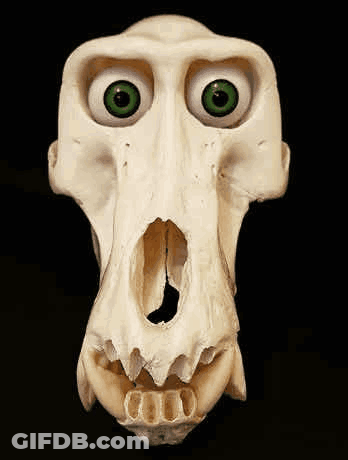 Skull With Green Eyes Like A Monkey GIF