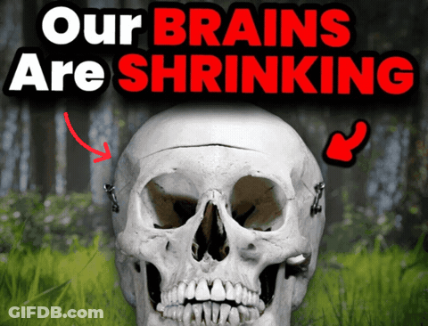 Skull With Our Brains Are Shrinking GIF