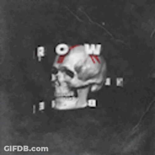 Skull With Red Letter N GIF
