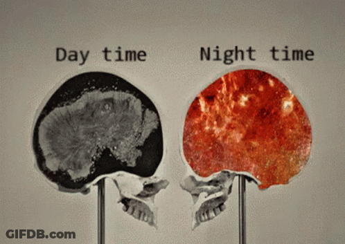 Skulls Showing Day And Night GIF