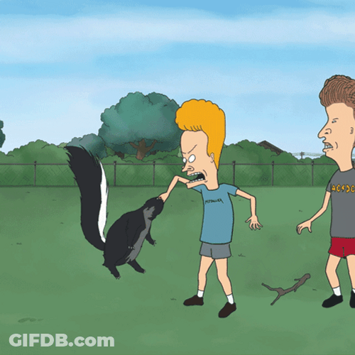 Skunk Beavis And Butthead GIF