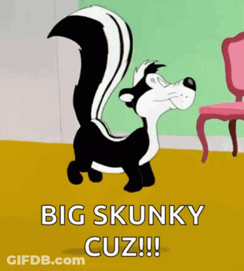 Skunk Big Skunky Cuz GIF