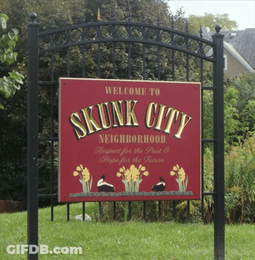 Skunk City Gateway GIF