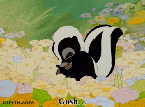 Skunk In Flower Field Saying Gosh GIF