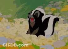 Skunk Laying In Flower Field GIF