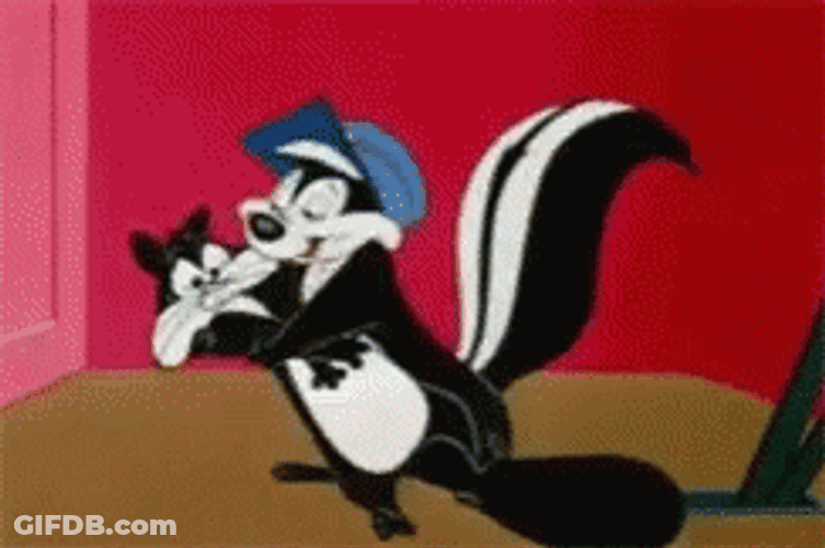 Skunk Pepe Kissing Black Cat GIF