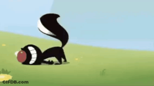 Skunk Playing With Ball Frog Behind GIF