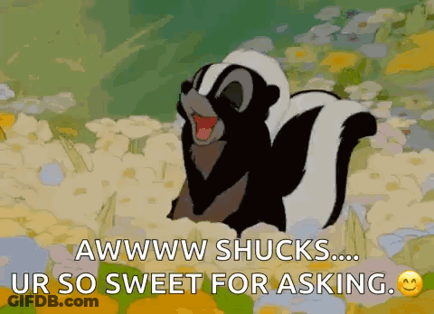 Skunk Saying Aww Shucks You're So Sweet GIF