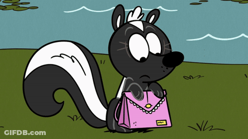 Skunk Saying Hi Noup GIF