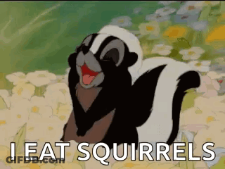 Skunk Saying I Eat Squirrels GIF