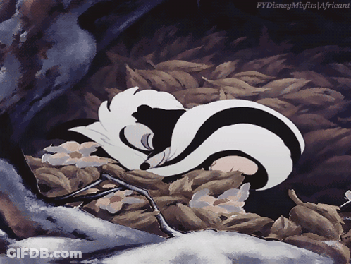 Skunk Sleeping In Leaf Pile Fydisneymisfits Africant GIF