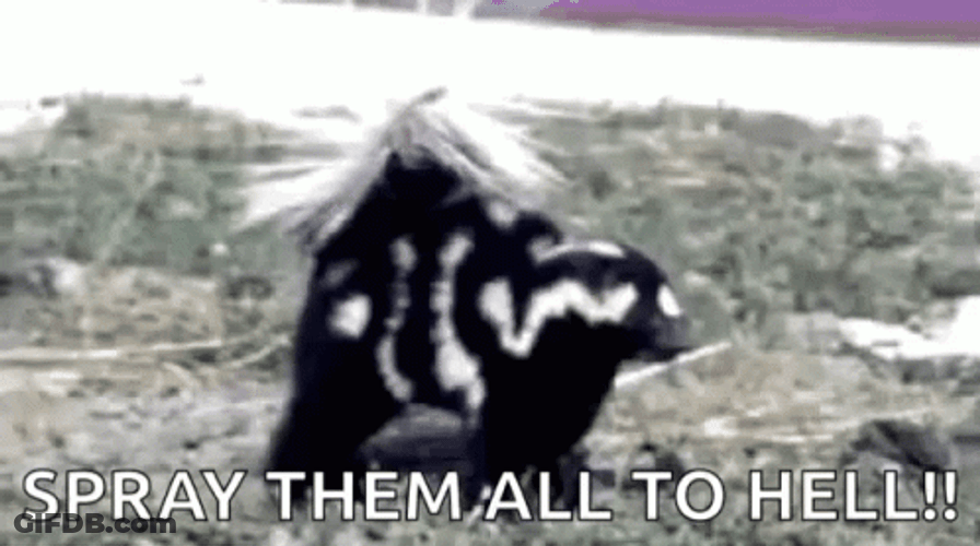 Skunk Spray Them To Hell GIF