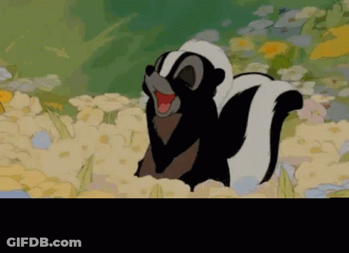 Skunk Standing In Flower Field Aww Shucks GIF