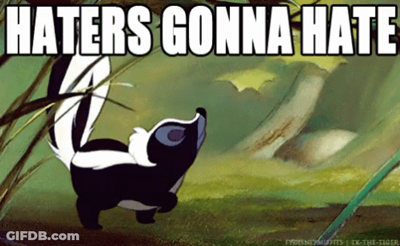 Skunk Strutting Through The Forest GIF